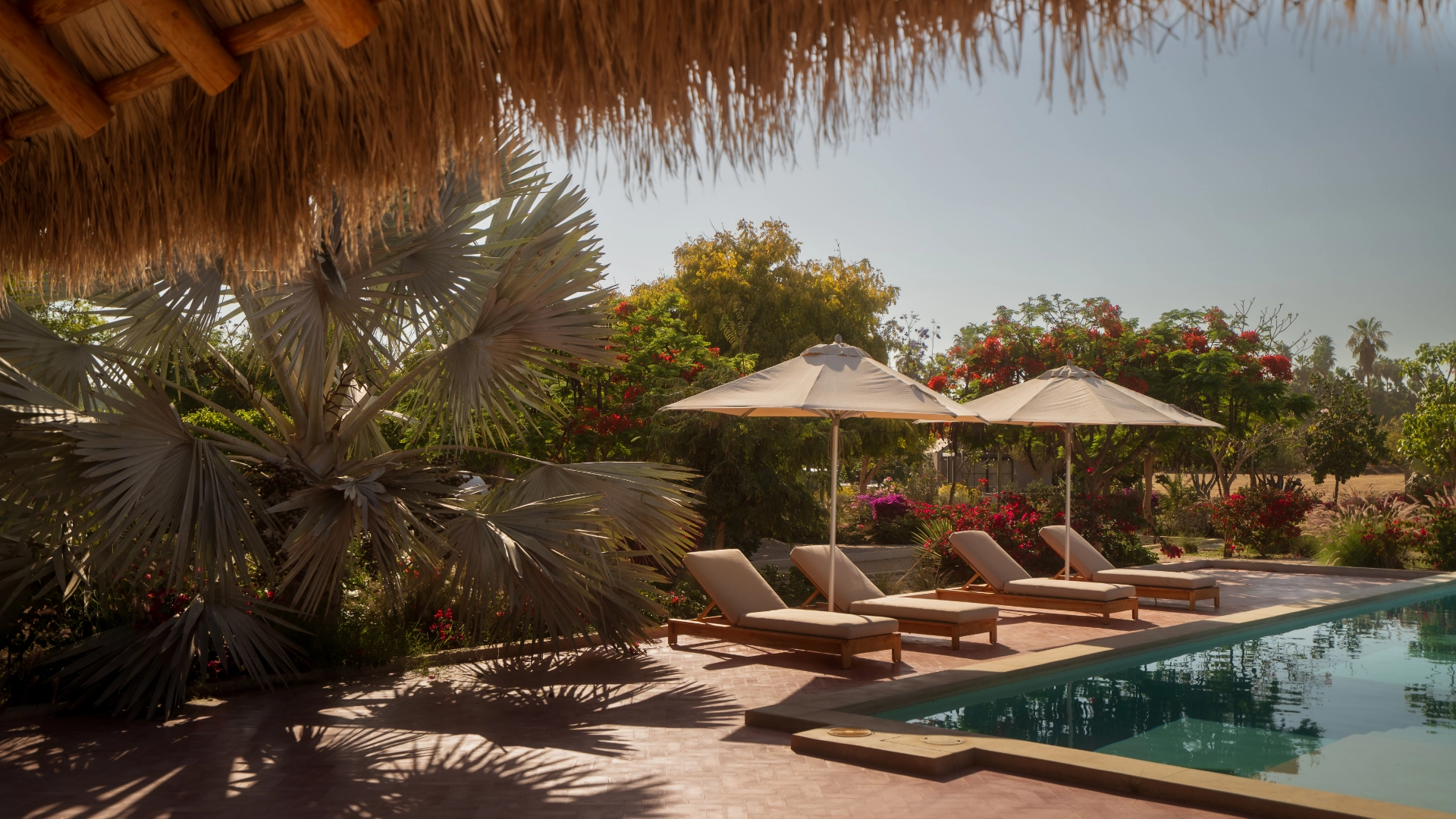 Rancho Cuatro Patas_Gallery_21